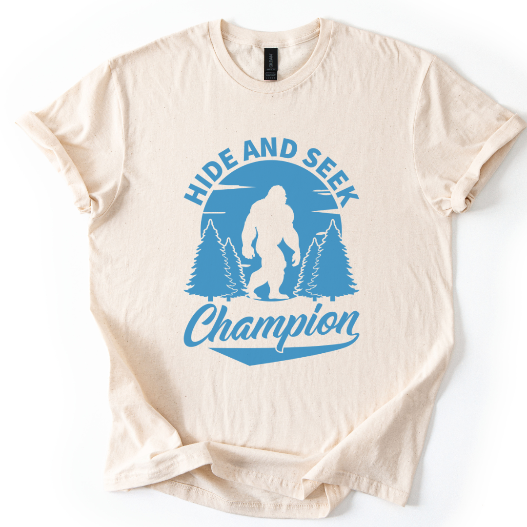 Hide And Seek Champion