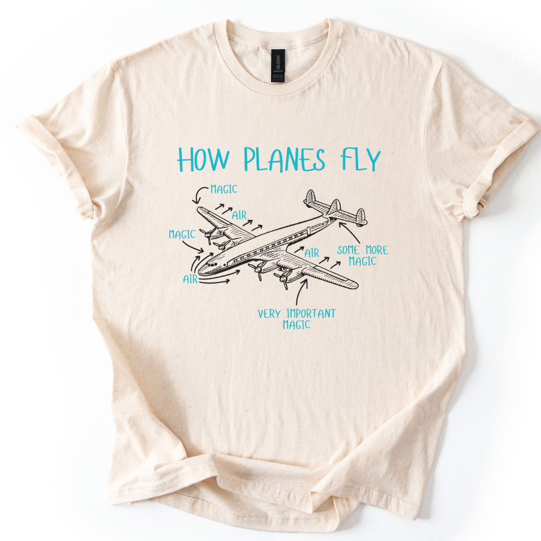 How Planes Fly