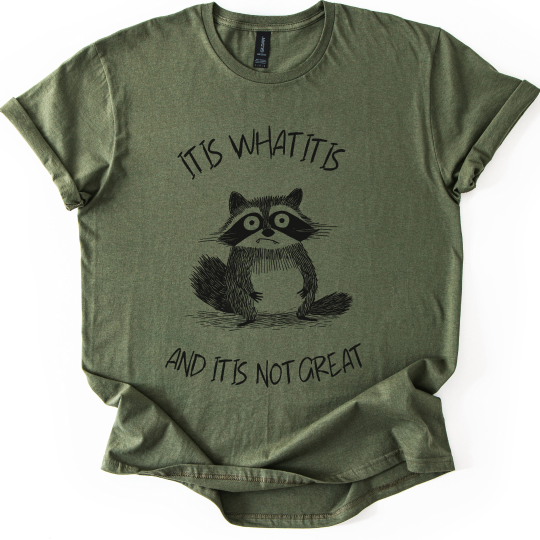 It Is What It Is, And It Is Not Great